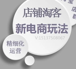 半月速成淘宝无货源精细化运营 迈向月入五万的实战指南